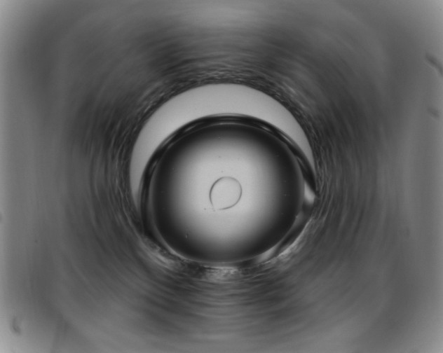 X0000097850136200803141225