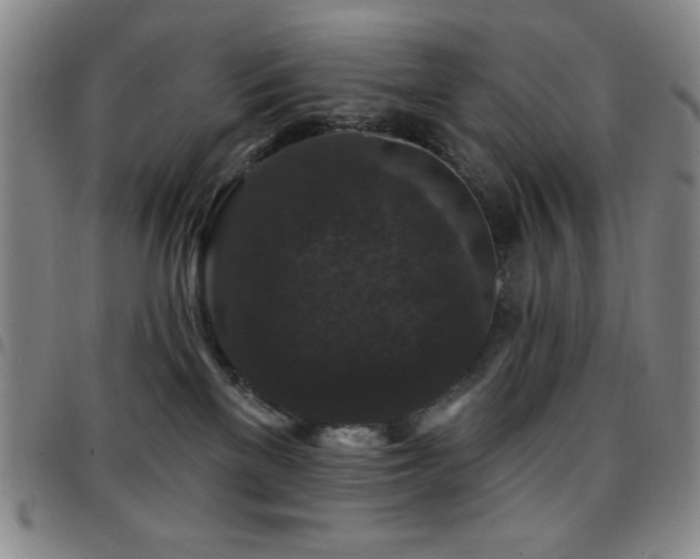 X0000097850137200803141225