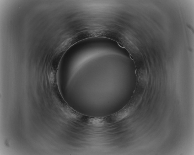 X0000097850139200803141225