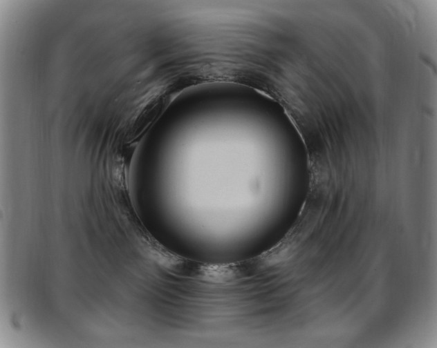 X0000097850141200803141225