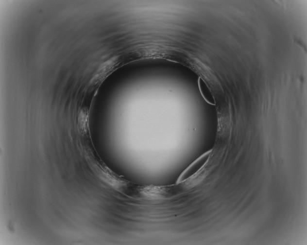 X0000097850142200803141225