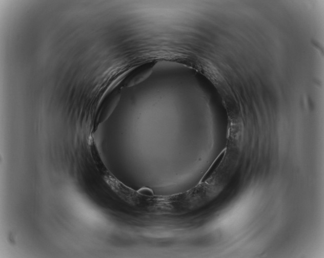 X0000097850143200803141225