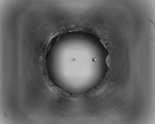 X0000097850144200803141225