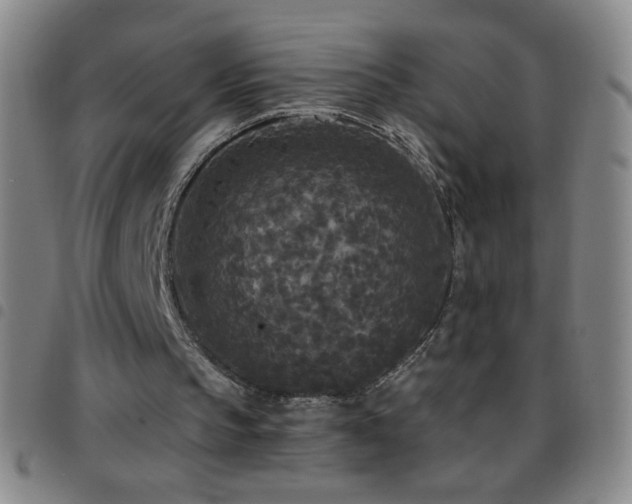 X0000097850145200803141224