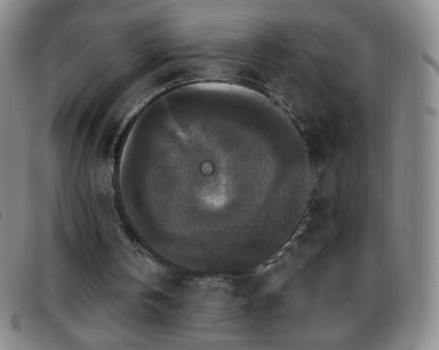 X0000097850146200803141224