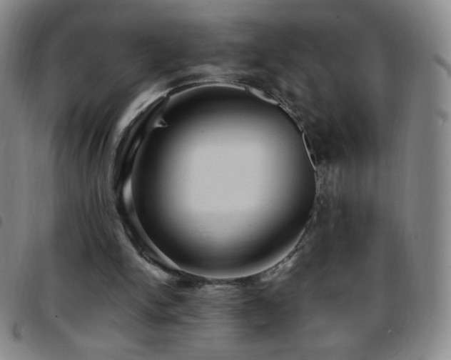 X0000097850150200803141224