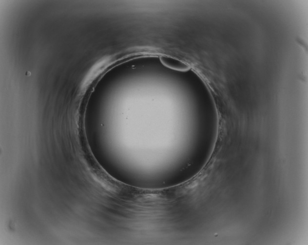 X0000097850151200803141224