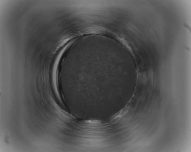 X0000097850154200803141224