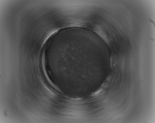 X0000097850156200803141224