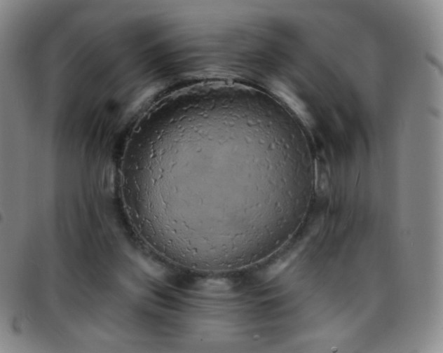 X0000097850157200803141224