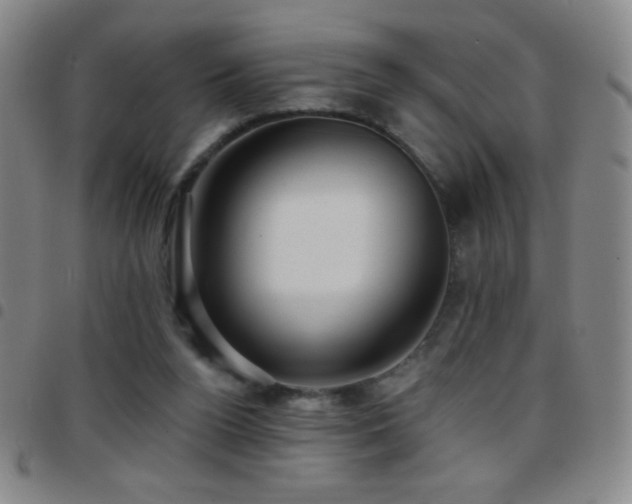 X0000097850160200803141224