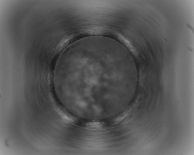 X0000097850161200803141224