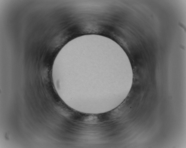 X0000097850162200803141224