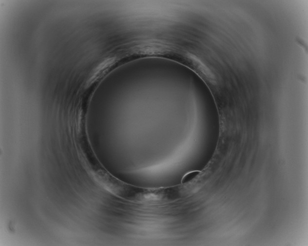 X0000097850163200803141225