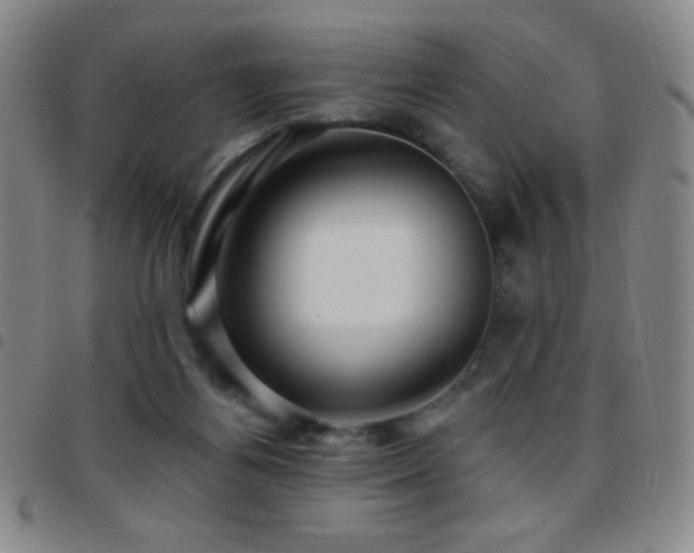X0000097850164200803141225