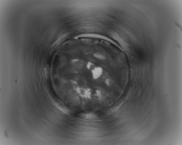 X0000097850165200803141225