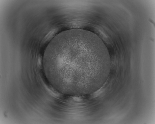 X0000097850166200803141225