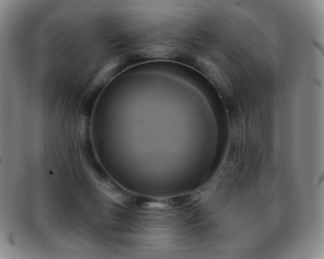 X0000097850167200803141225