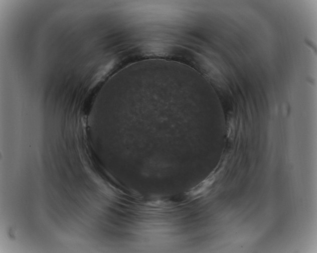 X0000097850168200803141225