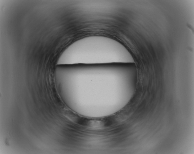 X0000097850169200803141225