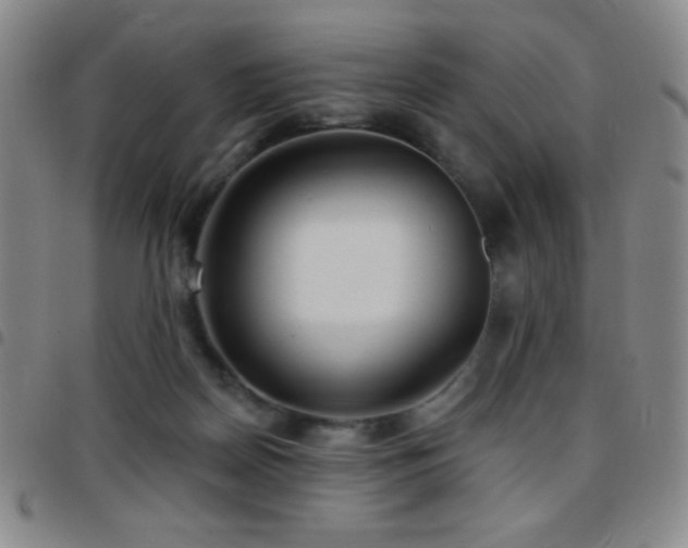 X0000097850170200803141225