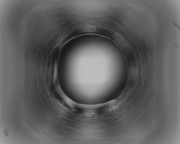 X0000097850172200803141225
