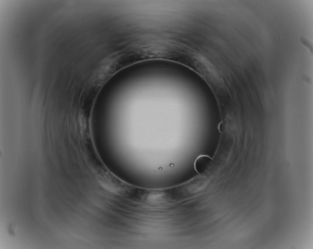 X0000097850173200803141225