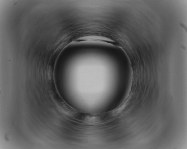 X0000097850174200803141225