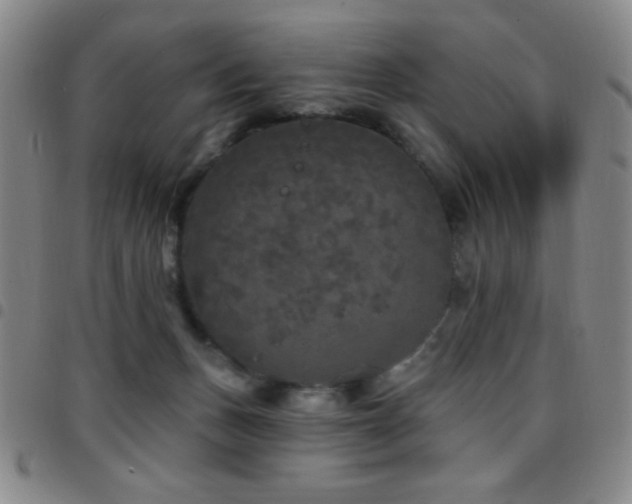 X0000097850175200803141225
