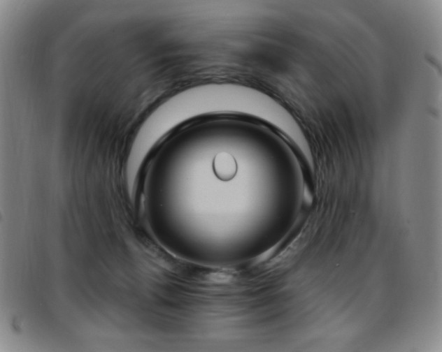 X0000097850176200803141225