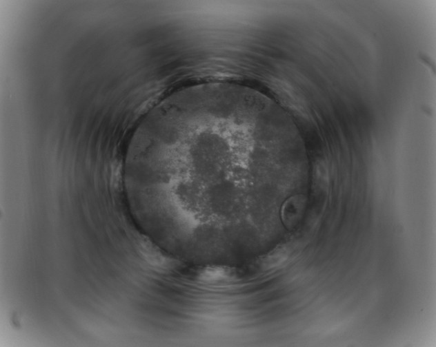 X0000097850177200803141225