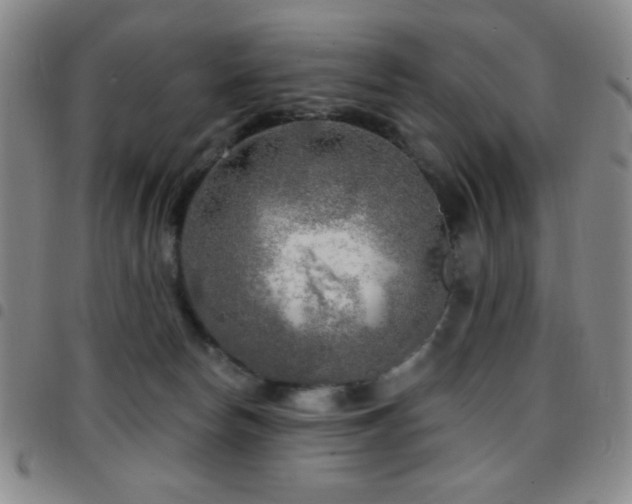 X0000097850178200803141225