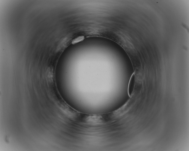 X0000097850179200803141225