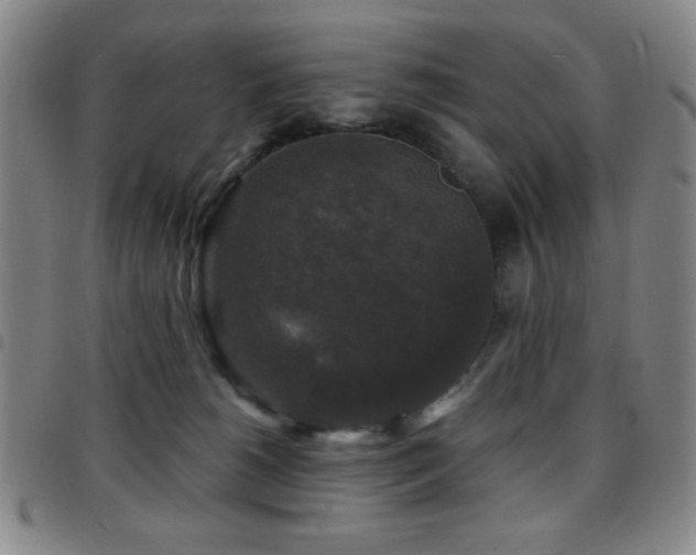 X0000097850180200803141225