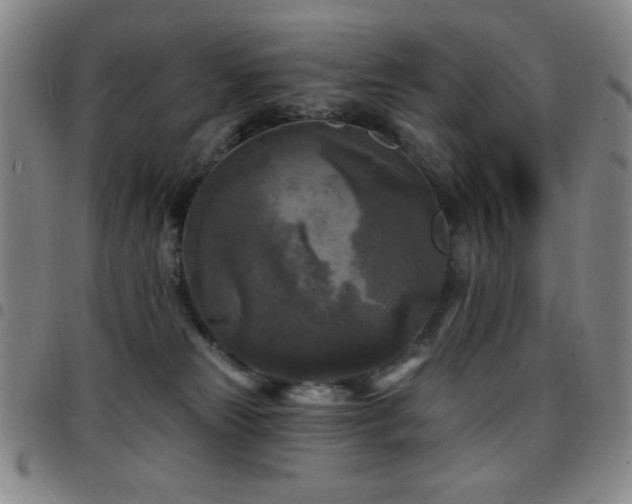 X0000097850181200803141225