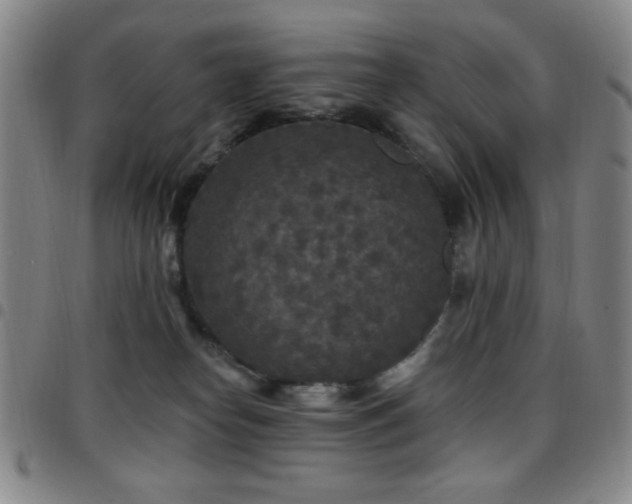 X0000097850182200803141225