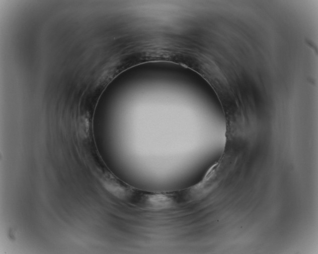 X0000097850183200803141225