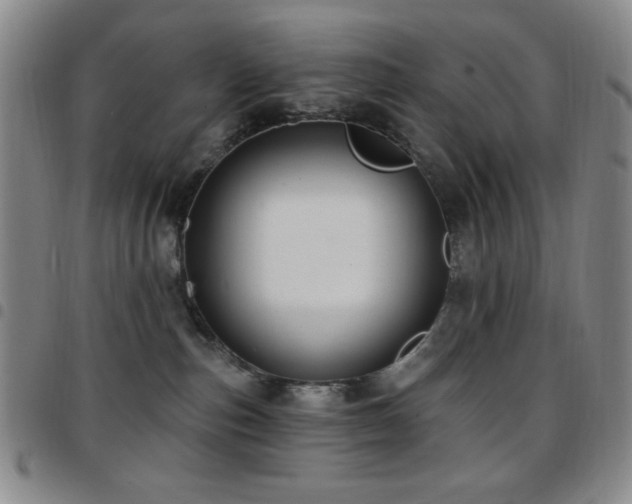 X0000097850187200803141225