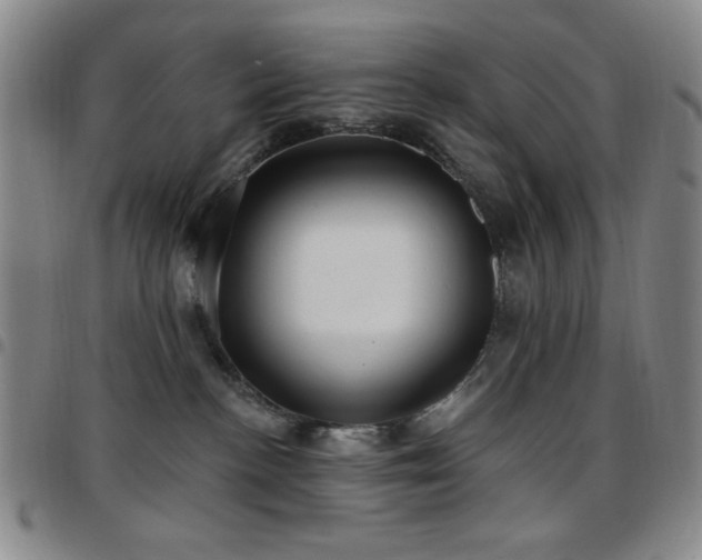 X0000097850188200803141225