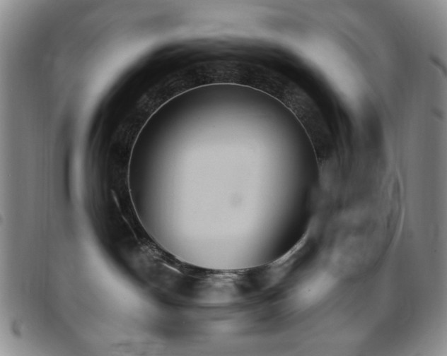 X0000097850190200803141225