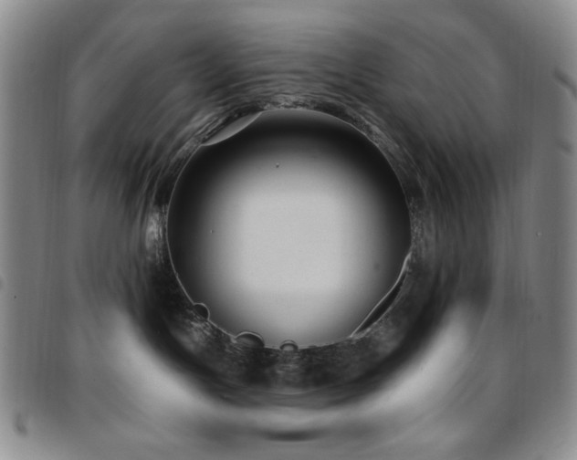 X0000097850191200803141225