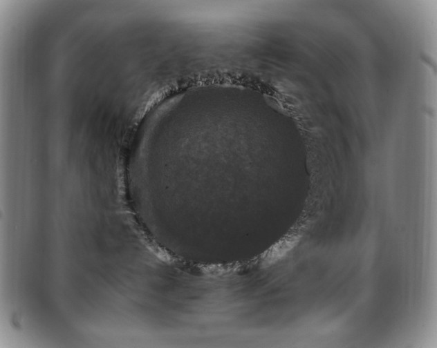 X0000097850192200803141225