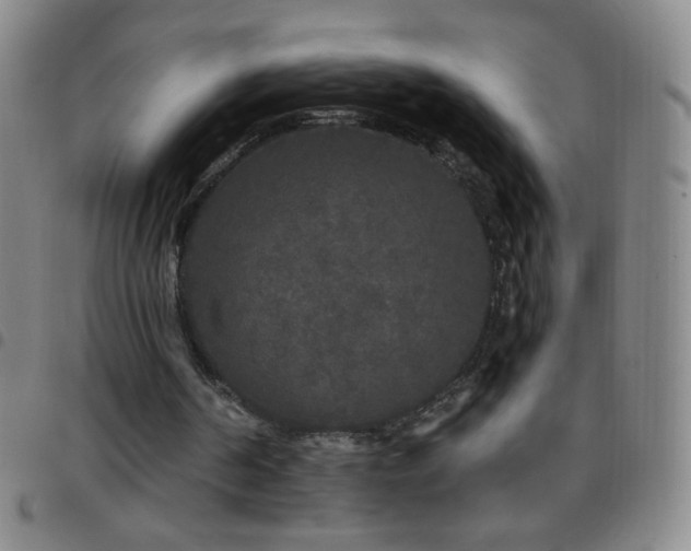 X0000097850194200803141224