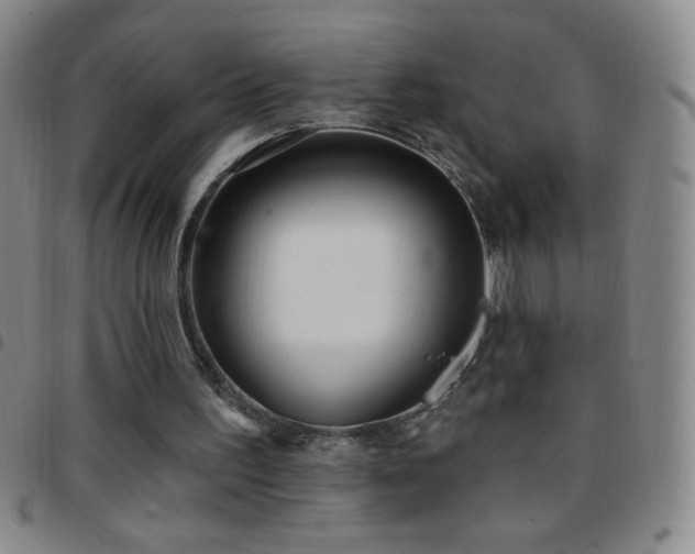 X0000097850195200803141224