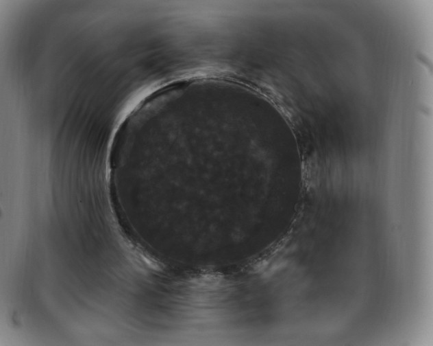 X0000097850196200803141224