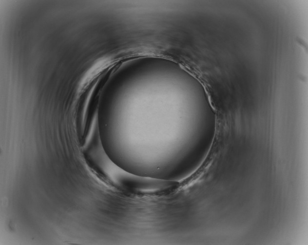 X0000097850197200803141224