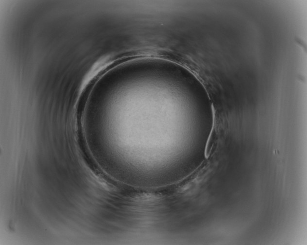 X0000097850198200803141224