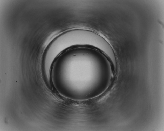 X0000097850199200803141224
