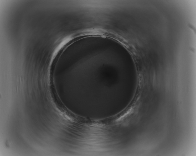X0000097850200200803141224