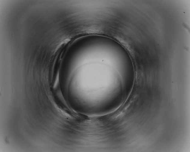 X0000097850201200803141224